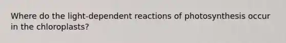 Where do the light-dependent reactions of photosynthesis occur in the chloroplasts?