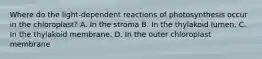 Where do the light-dependent reactions of photosynthesis occur in the chloroplast? A. In the stroma B. In the thylakoid lumen. C. In the thylakoid membrane. D. In the outer chloroplast membrane