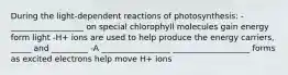 During the light-dependent reactions of photosynthesis: -__________________ on special chlorophyll molecules gain energy form light -H+ ions are used to help produce the energy carriers, _____ and _________ -A _________________ ___________________ forms as excited electrons help move H+ ions