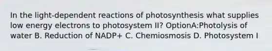 In the light-dependent reactions of photosynthesis what supplies low energy electrons to photosystem II? OptionA:Photolysis of water B. Reduction of NADP+ C. Chemiosmosis D. Photosystem I