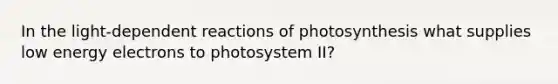 In the light-dependent reactions of photosynthesis what supplies low energy electrons to photosystem II?