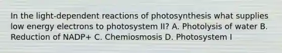 In the light-dependent reactions of photosynthesis what supplies low energy electrons to photosystem II? A. Photolysis of water B. Reduction of NADP+ C. Chemiosmosis D. Photosystem I