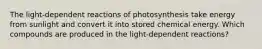 The light-dependent reactions of photosynthesis take energy from sunlight and convert it into stored chemical energy. Which compounds are produced in the light-dependent reactions?