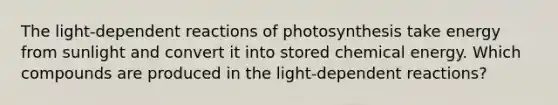 The light-dependent reactions of photosynthesis take energy from sunlight and convert it into stored chemical energy. Which compounds are produced in the light-dependent reactions?