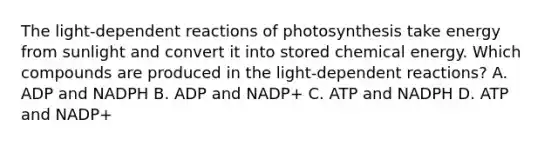 The light-dependent reactions of photosynthesis take energy from sunlight and convert it into stored chemical energy. Which compounds are produced in the light-dependent reactions? A. ADP and NADPH B. ADP and NADP+ C. ATP and NADPH D. ATP and NADP+