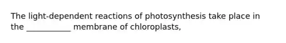 The light-dependent reactions of photosynthesis take place in the ___________ membrane of chloroplasts,