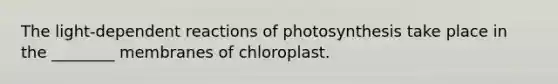 The light-dependent reactions of photosynthesis take place in the ________ membranes of chloroplast.