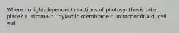 Where do light-dependent reactions of photosynthesis take place? a. stroma b. thylakoid membrane c. mitochondria d. cell wall