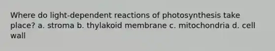 Where do light-dependent reactions of photosynthesis take place? a. stroma b. thylakoid membrane c. mitochondria d. cell wall