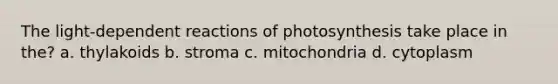 The light-dependent reactions of photosynthesis take place in the? a. thylakoids b. stroma c. mitochondria d. cytoplasm