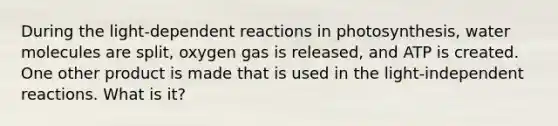 During the light-dependent reactions in photosynthesis, water molecules are split, oxygen gas is released, and ATP is created. One other product is made that is used in the light-independent reactions. What is it?