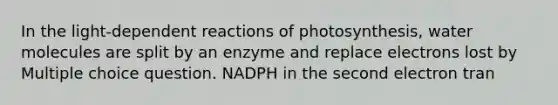 In the light-dependent reactions of photosynthesis, water molecules are split by an enzyme and replace electrons lost by Multiple choice question. NADPH in the second electron tran