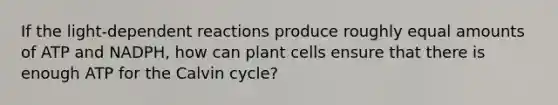 If the light-dependent reactions produce roughly equal amounts of ATP and NADPH, how can plant cells ensure that there is enough ATP for the Calvin cycle?