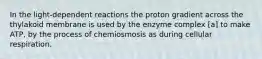 In the light-dependent reactions the proton gradient across the thylakoid membrane is used by the enzyme complex [a] to make ATP, by the process of chemiosmosis as during cellular respiration.