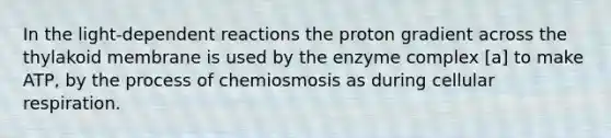 In the light-dependent reactions the proton gradient across the thylakoid membrane is used by the enzyme complex [a] to make ATP, by the process of chemiosmosis as during cellular respiration.