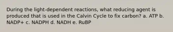 During the light-dependent reactions, what reducing agent is produced that is used in the Calvin Cycle to fix carbon? a. ATP b. NADP+ c. NADPH d. NADH e. RuBP