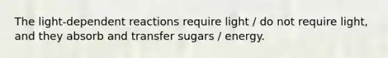 The light-dependent reactions require light / do not require light, and they absorb and transfer sugars / energy.