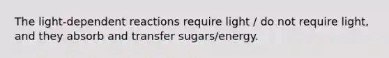 The light-dependent reactions require light / do not require light, and they absorb and transfer sugars/energy.