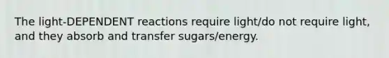 The light-DEPENDENT reactions require light/do not require light, and they absorb and transfer sugars/energy.