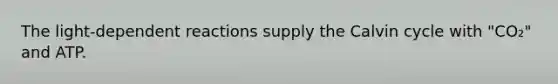 The light-dependent reactions supply the Calvin cycle with "CO₂" and ATP.