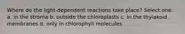 Where do the light-dependent reactions take place? Select one: a. in the stroma b. outside the chloroplasts c. in the thylakoid membranes d. only in chlorophyll molecules