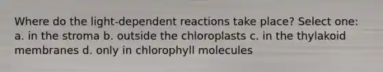 Where do the light-dependent reactions take place? Select one: a. in the stroma b. outside the chloroplasts c. in the thylakoid membranes d. only in chlorophyll molecules