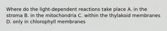 Where do the light-dependent reactions take place A. in the stroma B. in the mitochondria C. within the thylakoid membranes D. only in chlorophyll membranes