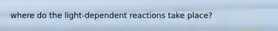 where do the light-dependent reactions take place?