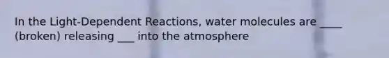 In the Light-Dependent Reactions, water molecules are ____ (broken) releasing ___ into the atmosphere