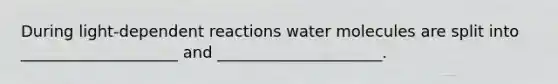 During light-dependent reactions water molecules are split into ____________________ and _____________________.