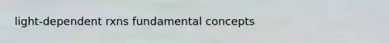 light-dependent rxns fundamental concepts