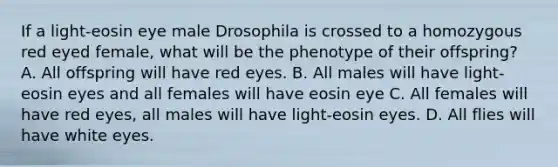 If a light-eosin eye male Drosophila is crossed to a homozygous red eyed female, what will be the phenotype of their offspring? A. All offspring will have red eyes. B. All males will have light-eosin eyes and all females will have eosin eye C. All females will have red eyes, all males will have light-eosin eyes. D. All flies will have white eyes.