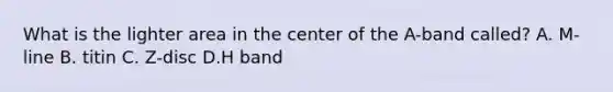 What is the lighter area in the center of the A-band called? A. M-line B. titin C. Z-disc D.H band