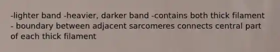 -lighter band -heavier, darker band -contains both thick filament - boundary between adjacent sarcomeres connects central part of each thick filament