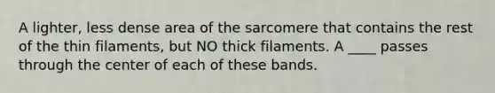 A lighter, less dense area of the sarcomere that contains the rest of the thin filaments, but NO thick filaments. A ____ passes through the center of each of these bands.