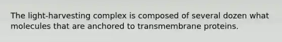 The light-harvesting complex is composed of several dozen what molecules that are anchored to transmembrane proteins.