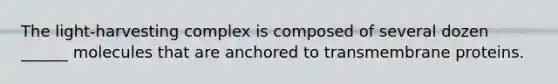 The light-harvesting complex is composed of several dozen ______ molecules that are anchored to transmembrane proteins.