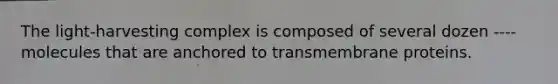 The light-harvesting complex is composed of several dozen ---- molecules that are anchored to transmembrane proteins.