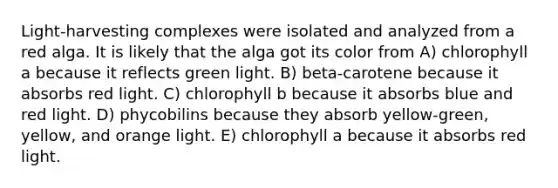 Light-harvesting complexes were isolated and analyzed from a red alga. It is likely that the alga got its color from A) chlorophyll a because it reflects green light. B) beta-carotene because it absorbs red light. C) chlorophyll b because it absorbs blue and red light. D) phycobilins because they absorb yellow-green, yellow, and orange light. E) chlorophyll a because it absorbs red light.