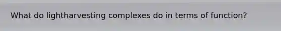 What do lightharvesting complexes do in terms of function?