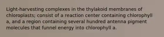 Light-harvesting complexes in the thylakoid membranes of chloroplasts; consist of a reaction center containing chlorophyll a, and a region containing several hundred antenna pigment molecules that funnel energy into chlorophyll a.