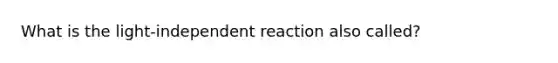 What is the light-independent reaction also called?