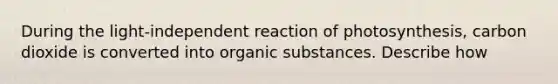 During the light-independent reaction of photosynthesis, carbon dioxide is converted into organic substances. Describe how