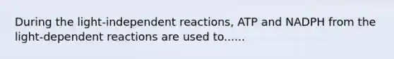 During the light-independent reactions, ATP and NADPH from the light-dependent reactions are used to......