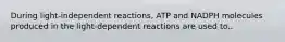 During light-independent reactions, ATP and NADPH molecules produced in the light-dependent reactions are used to..