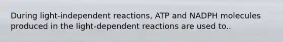 During light-independent reactions, ATP and NADPH molecules produced in the light-dependent reactions are used to..