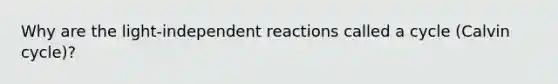 Why are the light-independent reactions called a cycle (Calvin cycle)?