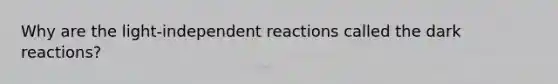 Why are the light-independent reactions called the dark reactions?