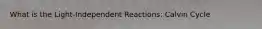 What is the Light-Independent Reactions: Calvin Cycle