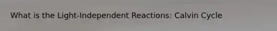 What is the Light-Independent Reactions: Calvin Cycle